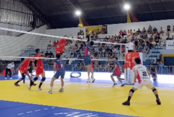 Cópia de Capa com 3 grades (1)