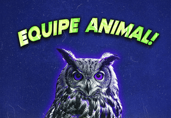 equipe animal