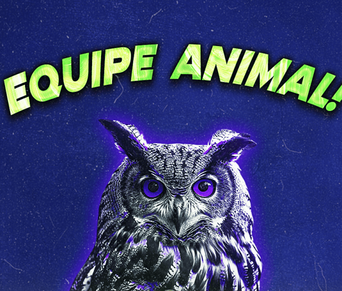 equipe animal