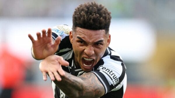 MEU-PADRAO-NSC-TOTAL-2025-06-16T011930.623-944×531