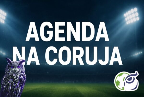 agenda na coruja