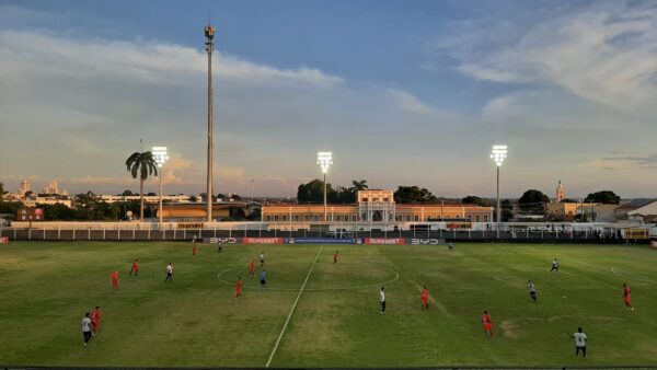 WhatsApp Image 2026-01-10 at 19.19.08