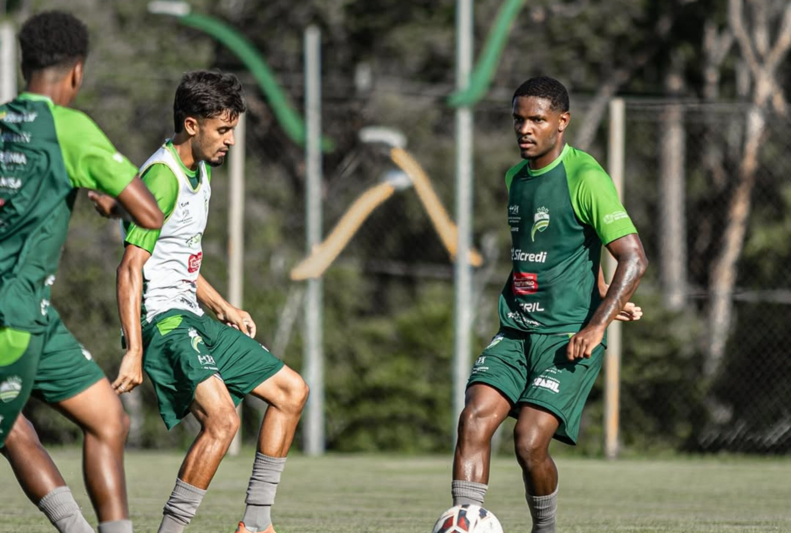 Luverdense define elenco que vai disputar a Copa SP de Futebol Júnior 2026 - Canal Na Coruja