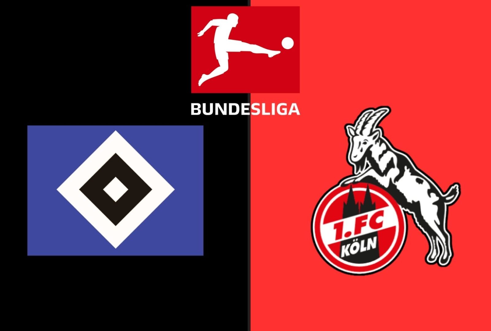 Hamburgo x Köln: onde assistir ao vivo, horário e prováveis escalações na Bundesliga