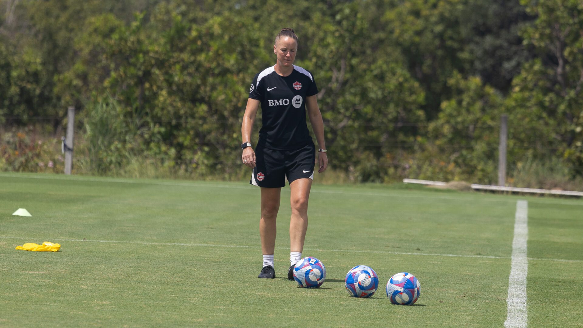 55196727677 373e6c53ba o