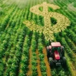 Inadimplência no agro derruba lucro do Banco do Brasil