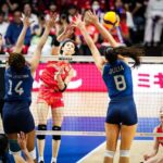 volei brasil x japão